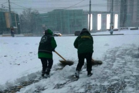 Коммунальные службы ликвидируют последствия снегопада (фото) 