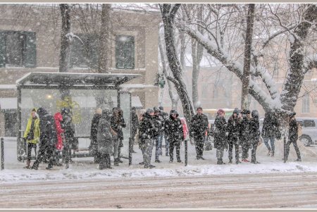 Одесса пережила первое наступление зимней стихии (фоторепортаж)