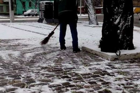 Парки и скверы Одессы приходят в себя после природной атаки (фото)