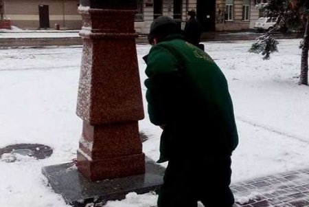 Парки и скверы Одессы приходят в себя после природной атаки (фото)