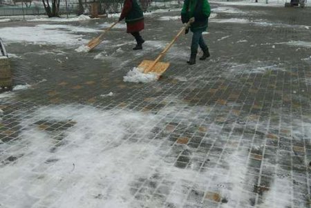 Парки и скверы Одессы приходят в себя после природной атаки (фото)