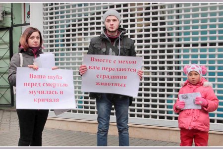 В Одессе наблюдался первый слабый всплеск антимехового движа (фоторепортаж)