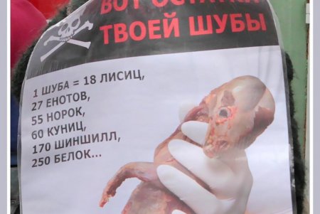 В Одессе наблюдался первый слабый всплеск антимехового движа (фоторепортаж)