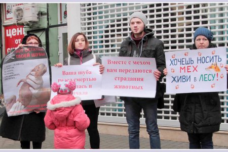 В Одессе наблюдался первый слабый всплеск антимехового движа (фоторепортаж)