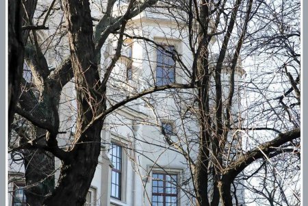 Визитка Одессы — не шахский, но Шахский дворец (фоторепортаж)
