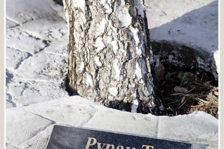 6 свечей как 6 миллионов: в Одессе почтили память жертв Холокоста (фоторепортаж)