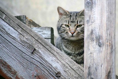 Дом, который знает еще ТУ Одессу (фоторепортаж)