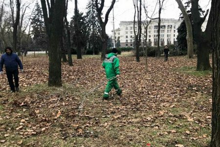 Одесские коммунальщики «причепурили» город (фото)