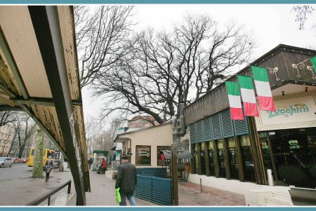 «Черная ночь»: вековые тайны под зеленой кроной (фоторепортаж)