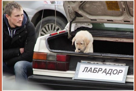 Монолог живого товара (фоторепортаж)