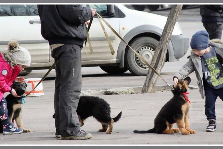 Монолог живого товара (фоторепортаж)