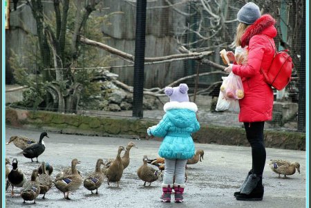 Одесситы встречают Новый год по-китайски (фоторепортаж)