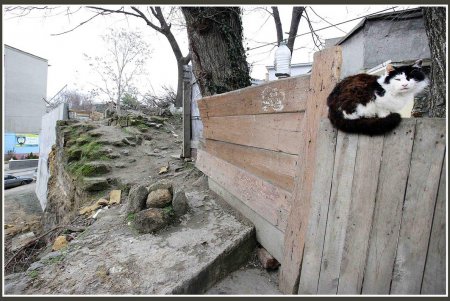 В старой Одессе выросла несокрушимая Скидановская стена (фоторепортаж)