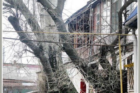 Пересыпь по потертой памяти все еще обожает Костю-моряка (фоторепортаж) 