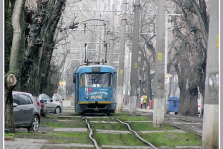 Пересыпь по потертой памяти все еще обожает Костю-моряка (фоторепортаж) 