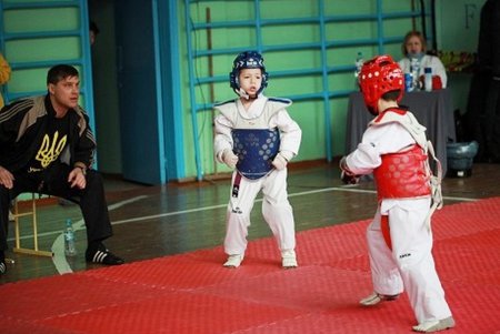 В Одессе подвели итоги областного турнира по тхэквондо (фото)