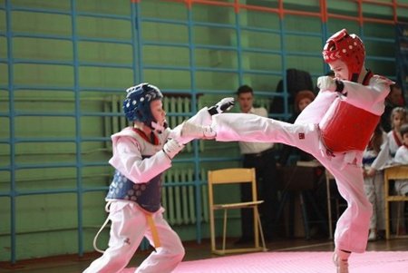 В Одессе подвели итоги областного турнира по тхэквондо (фото)