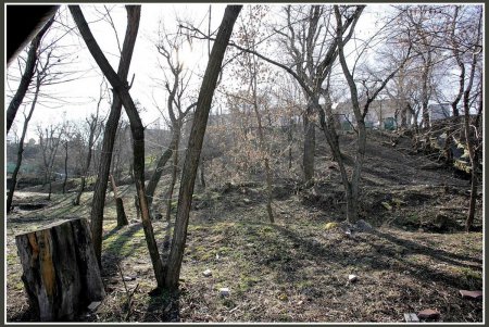 Одесской мэрии не дадут «прокатиться» с крутой горки (фоторепортаж)