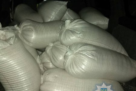 Пшеницу в Одессе воруют не вагонами, но прямо из них (фото)