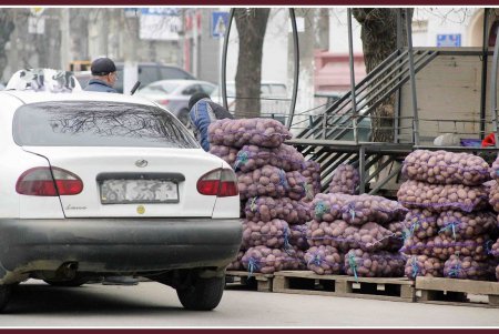 Старопортофранковская с «сородителем» Остапа Бендера и без черты порто-франко (фоторепортаж)