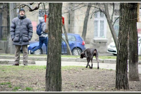 Старопортофранковская с «сородителем» Остапа Бендера и без черты порто-франко (фоторепортаж)