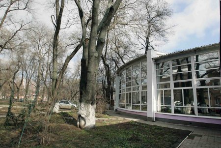 Старобазарный сквер прирастет сотками (фоторепортаж)
