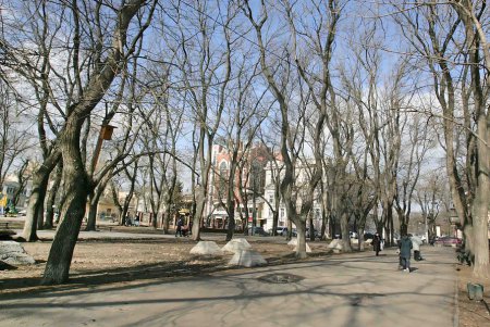 Старобазарный сквер прирастет сотками (фоторепортаж)