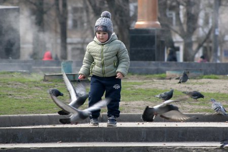 Старобазарный сквер прирастет сотками (фоторепортаж)
