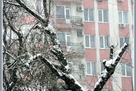 Снег как экзотика нынешней одесской зимы (фоторепортаж)