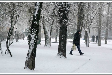 Снег как экзотика нынешней одесской зимы (фоторепортаж)
