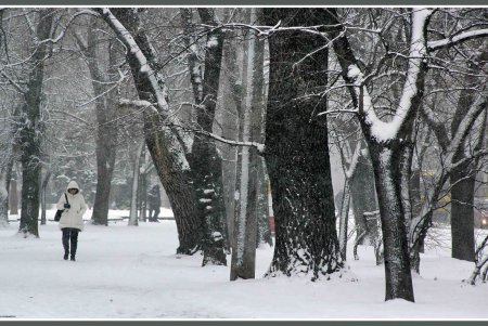 Снег как экзотика нынешней одесской зимы (фоторепортаж)