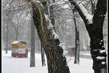 Снег как экзотика нынешней одесской зимы (фоторепортаж)