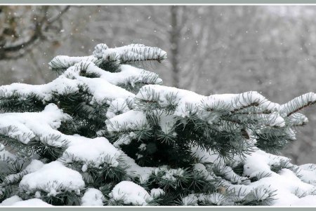 Снег как экзотика нынешней одесской зимы (фоторепортаж)