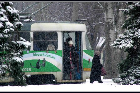 Снег как экзотика нынешней одесской зимы (фоторепортаж)