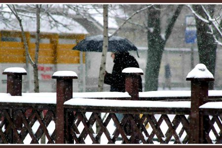 Снег как экзотика нынешней одесской зимы (фоторепортаж)