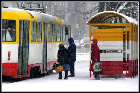 Снег как экзотика нынешней одесской зимы (фоторепортаж)
