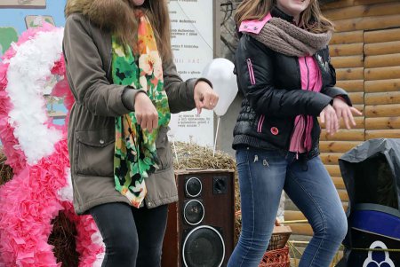 В Зоопарке прекрасные дамы дарили-принимали искренние и вкусные поздравления (фоторепортаж)