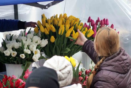 В Одессу прибыли цветные посланцы поздней весны (фоторепортаж)