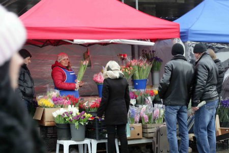 В Одессу прибыли цветные посланцы поздней весны (фоторепортаж)