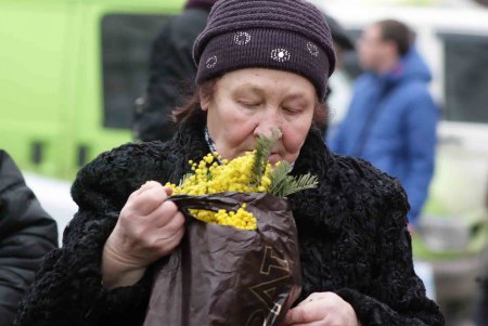 В Одессу прибыли цветные посланцы поздней весны (фоторепортаж)