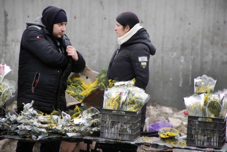 В Одессу прибыли цветные посланцы поздней весны (фоторепортаж)