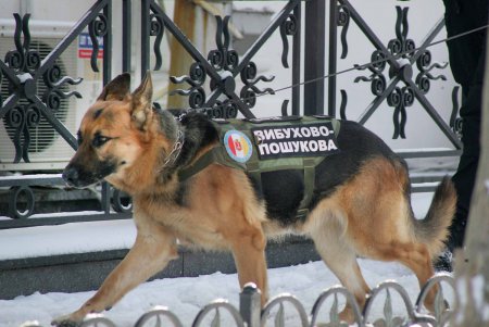 Депутатский корпус городской громады Одессы: работа в зале и в кулуарах (фотофакты)