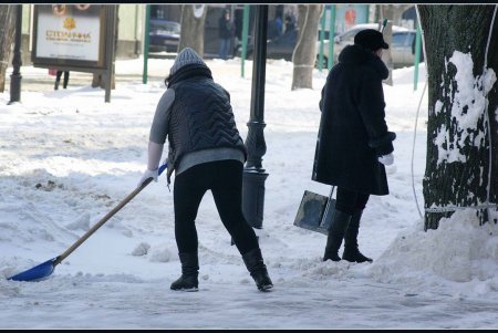 Самый востребованный одессит сегодня — человек с лопатой (фоторепортаж)