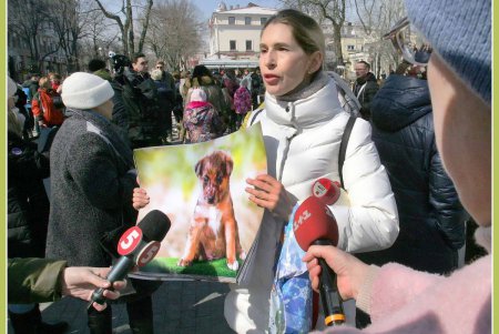 Только от жизни собачей собака бывает бродячей (фоторепортаж)