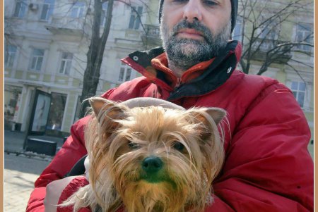 Только от жизни собачей собака бывает бродячей (фоторепортаж)