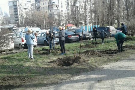 Одесса массово озеленяется