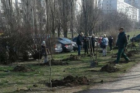Одесса массово озеленяется