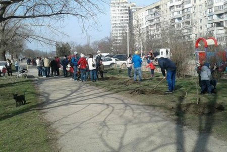 Одесса массово озеленяется