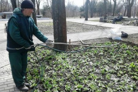 Клумбу возле стелы «Крылья Победы» украсили десятки тысяч весенних цветов (фото)