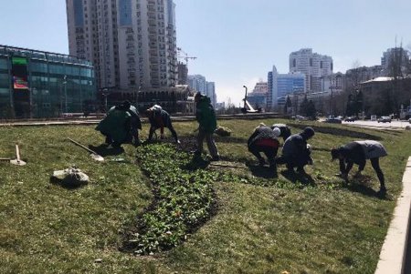 Клумбу возле стелы «Крылья Победы» украсили десятки тысяч весенних цветов (фото)